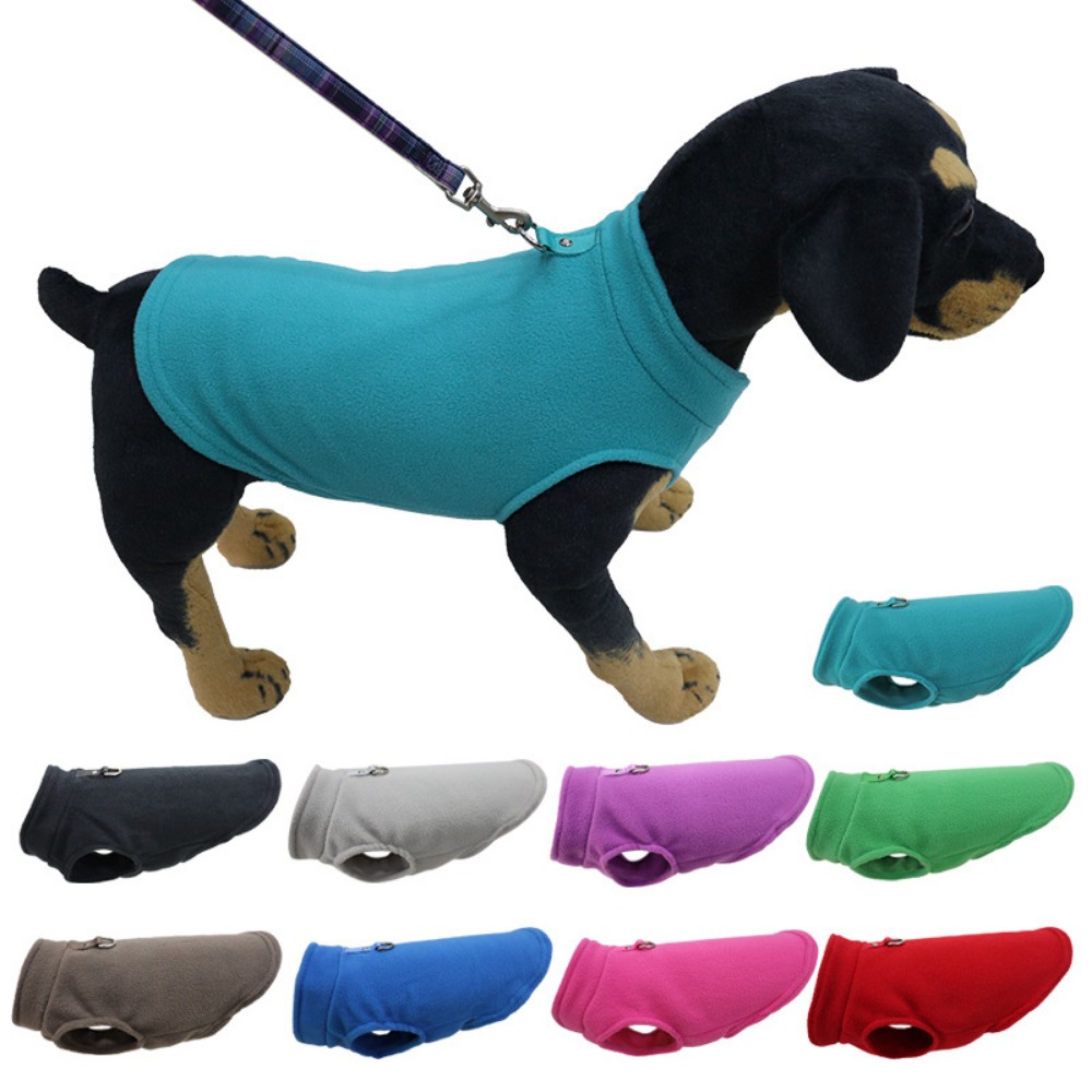 Pet Supplies In Amazon - Europe, America, Amazon pet clothes, dog
