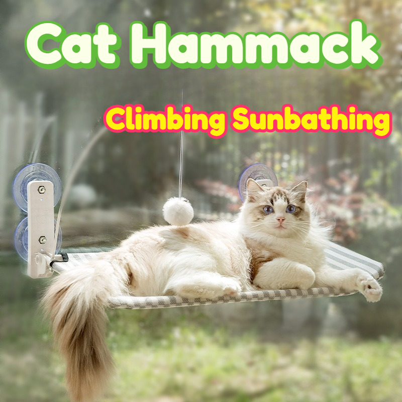 Cat Hammock Window Hanging Per - Cat Window Perch ulasan dan harga