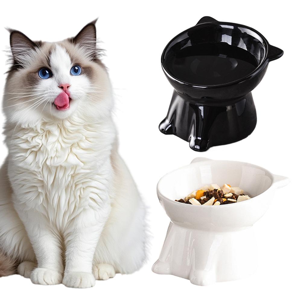 Black Cat Bowl Amazon Plastic  - Pet Supplies In Amazon ulasan dan harga