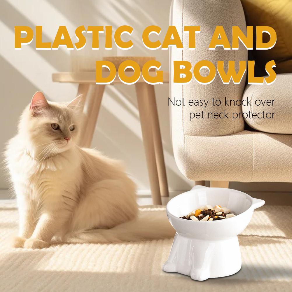 Black Cat Bowl Amazon Plastic  - Pet Supplies In Amazon ulasan dan harga
