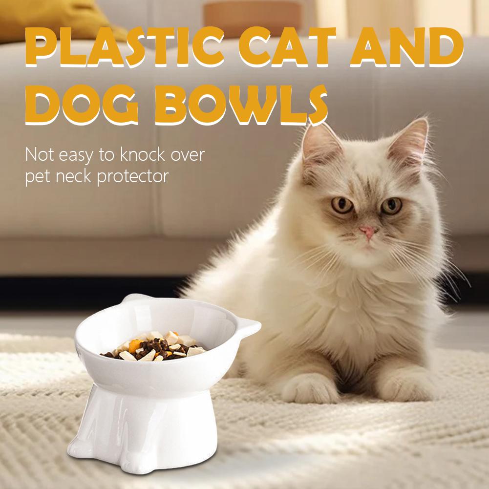 Black Cat Bowl Amazon Plastic  - Pet Supplies In Amazon ulasan dan harga