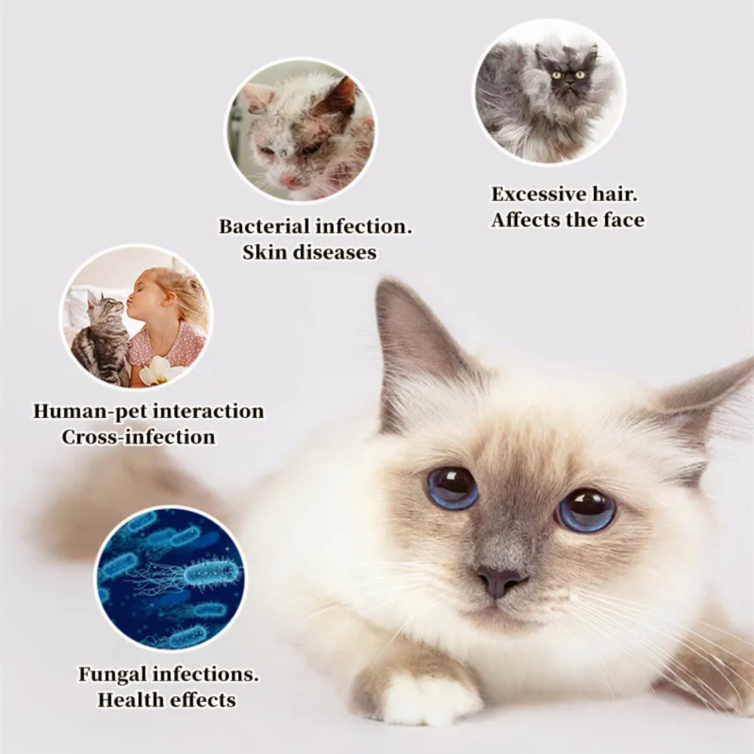 Cat Comb Dog Hair Remover Brus - Pet Supplies Hours ulasan dan harga