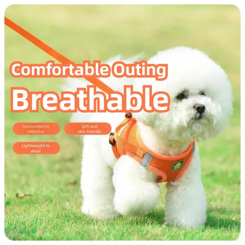 Pet Harness Reflective Ventila - Pet Supplies In Amazon ulasan dan harga