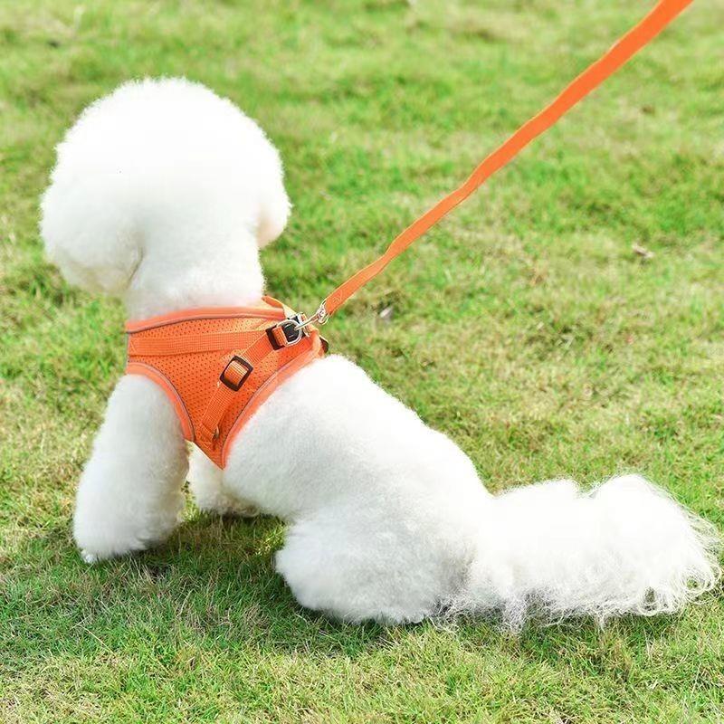 Pet Harness Reflective Ventila - Pet Supplies In Amazon ulasan dan harga