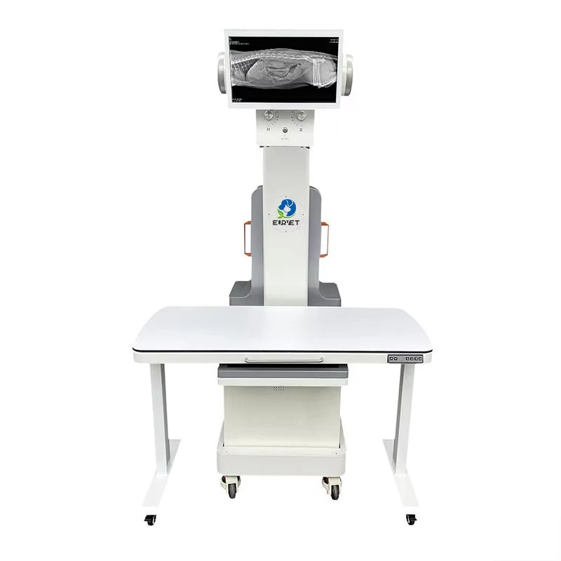 2026 32kw Digital Radiography  - Pet X Supplies & Tack Grooming ulasan dan harga