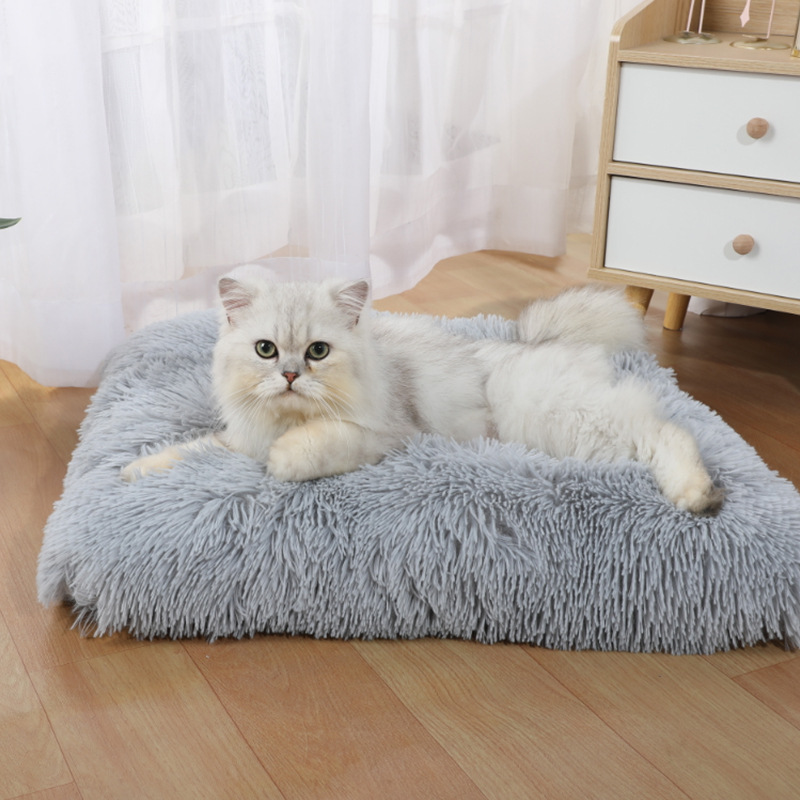 Supplies Mat Amazon New Dog Sl - Pet Supplies In Amazon ulasan dan harga