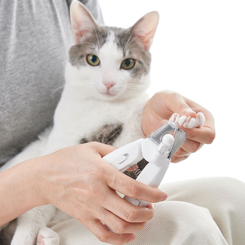 PETKIT Hair Cutting Machine Do - Pet Supplies Hours ulasan dan harga