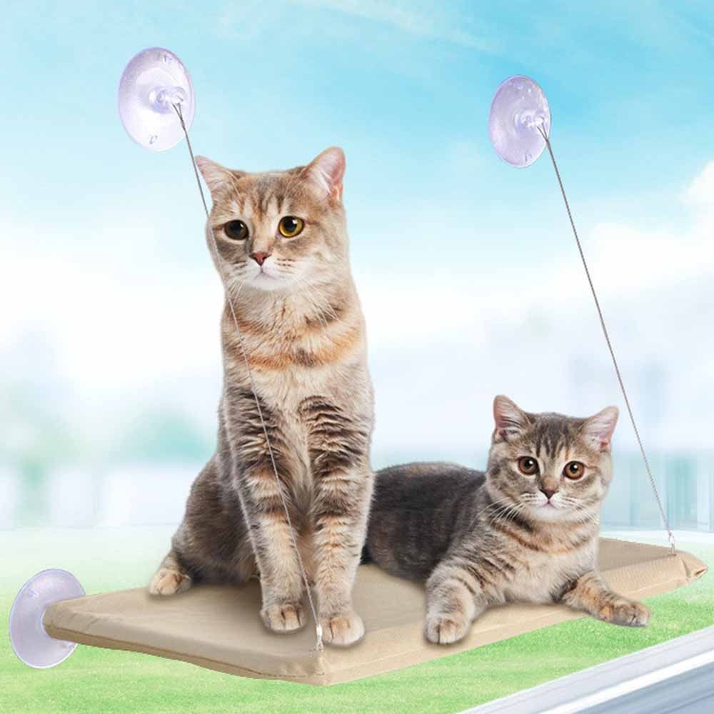 Cat Shelves Creative Cat Hangi - Cat Window Perch ulasan dan harga