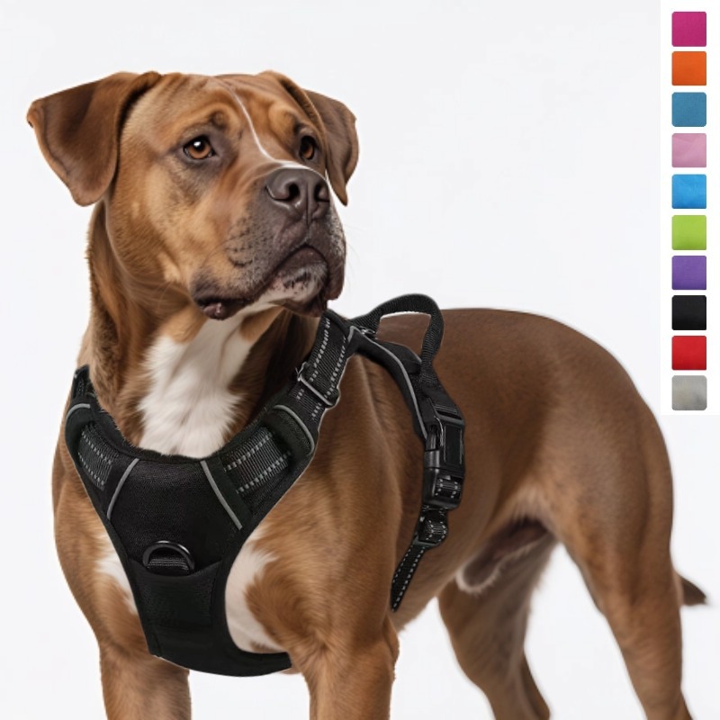 Dog Leash Pet Harness Nylon Do - Pet Supplies In Amazon ulasan dan harga