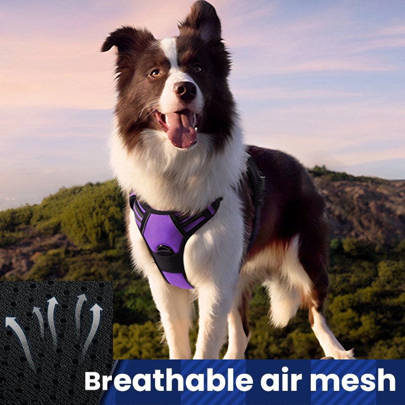 Dog Leash Pet Harness Nylon Do - Pet Supplies In Amazon ulasan dan harga