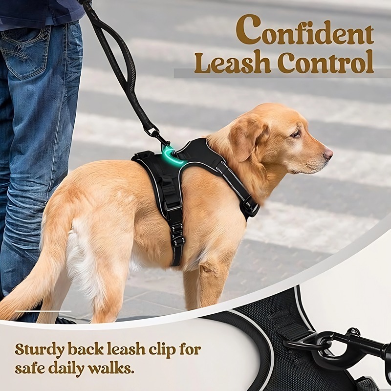 Dog Leash Pet Harness Nylon Do - Pet Supplies In Amazon ulasan dan harga