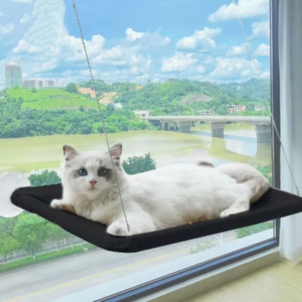 Pet Nest Creative Cat Hanging  - Cat Window Perch ulasan dan harga
