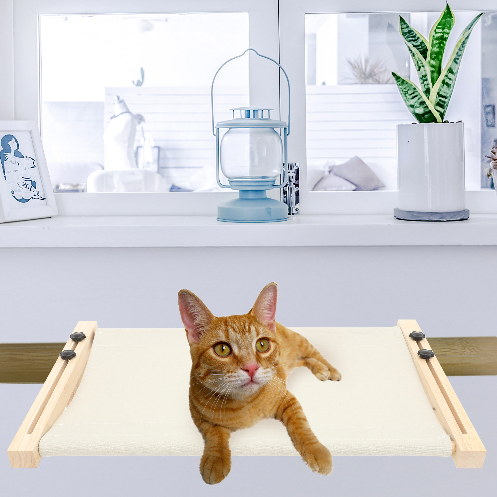 1Set Window Cat Hammock for In - Cat Window Perch ulasan dan harga