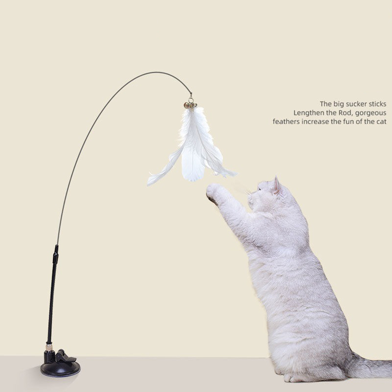 New powerful suction cat-teasi - Pet Supplies In Amazon ulasan dan harga
