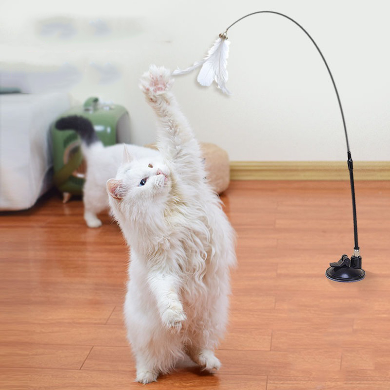 New powerful suction cat-teasi - Pet Supplies In Amazon ulasan dan harga