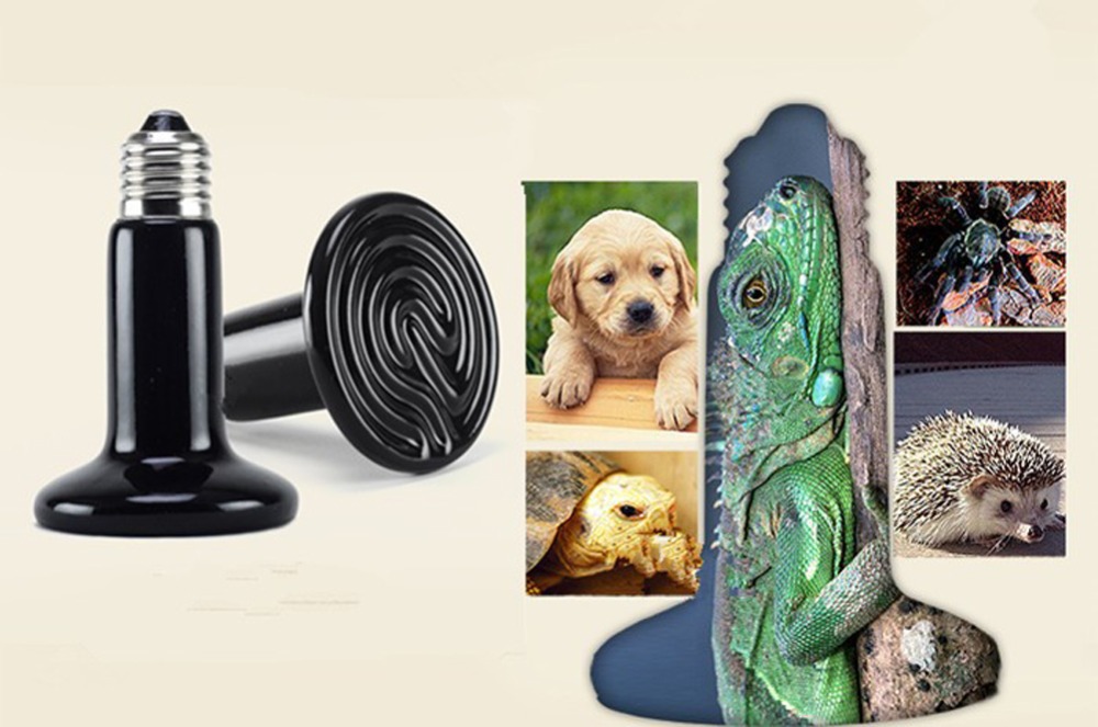 1 Pcs Reptile Pet No Light Far - Pet Supplies Hours ulasan dan harga