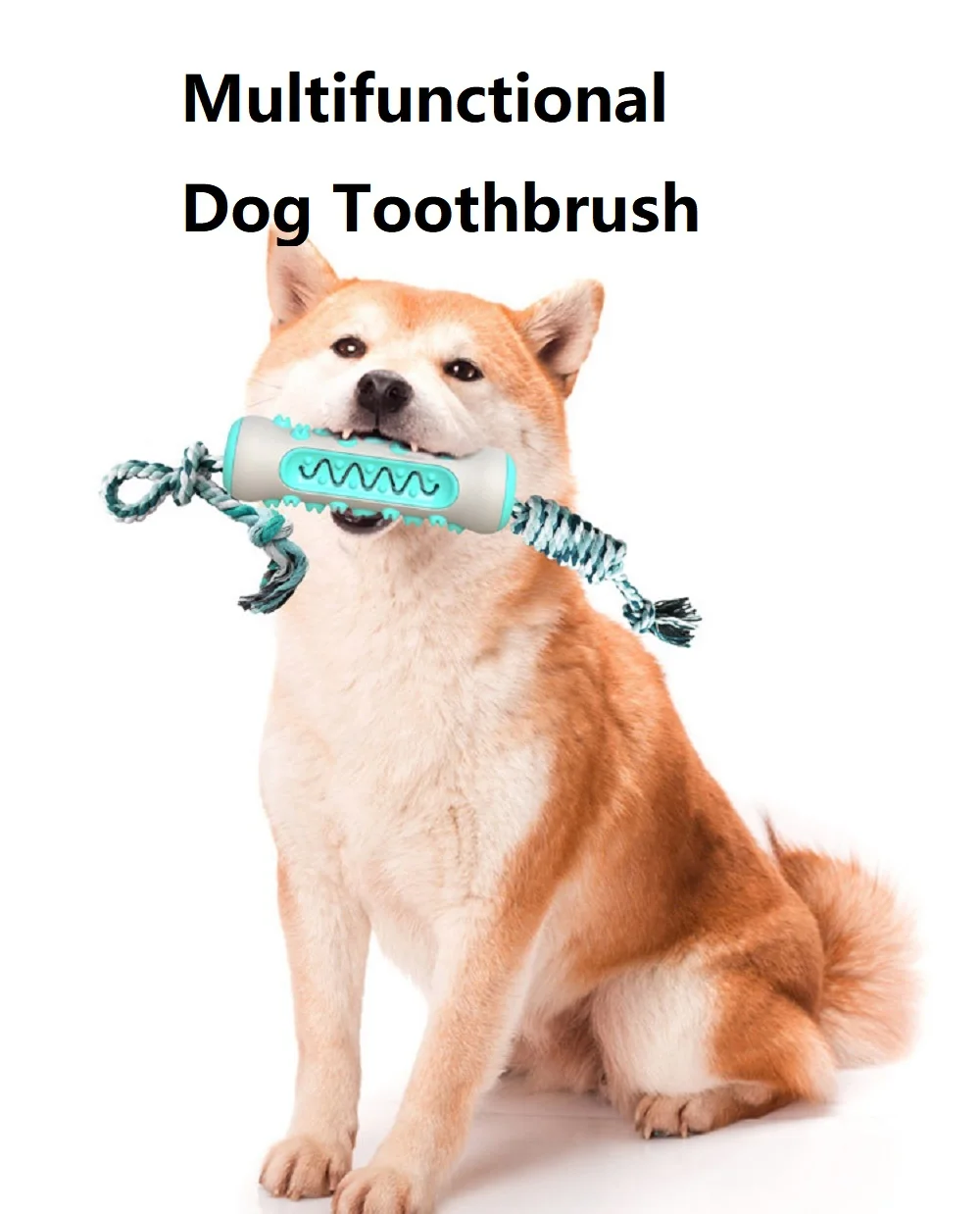 Pet Supplies Amazon Pop Dog To - Pet Supplies In Amazon ulasan dan harga