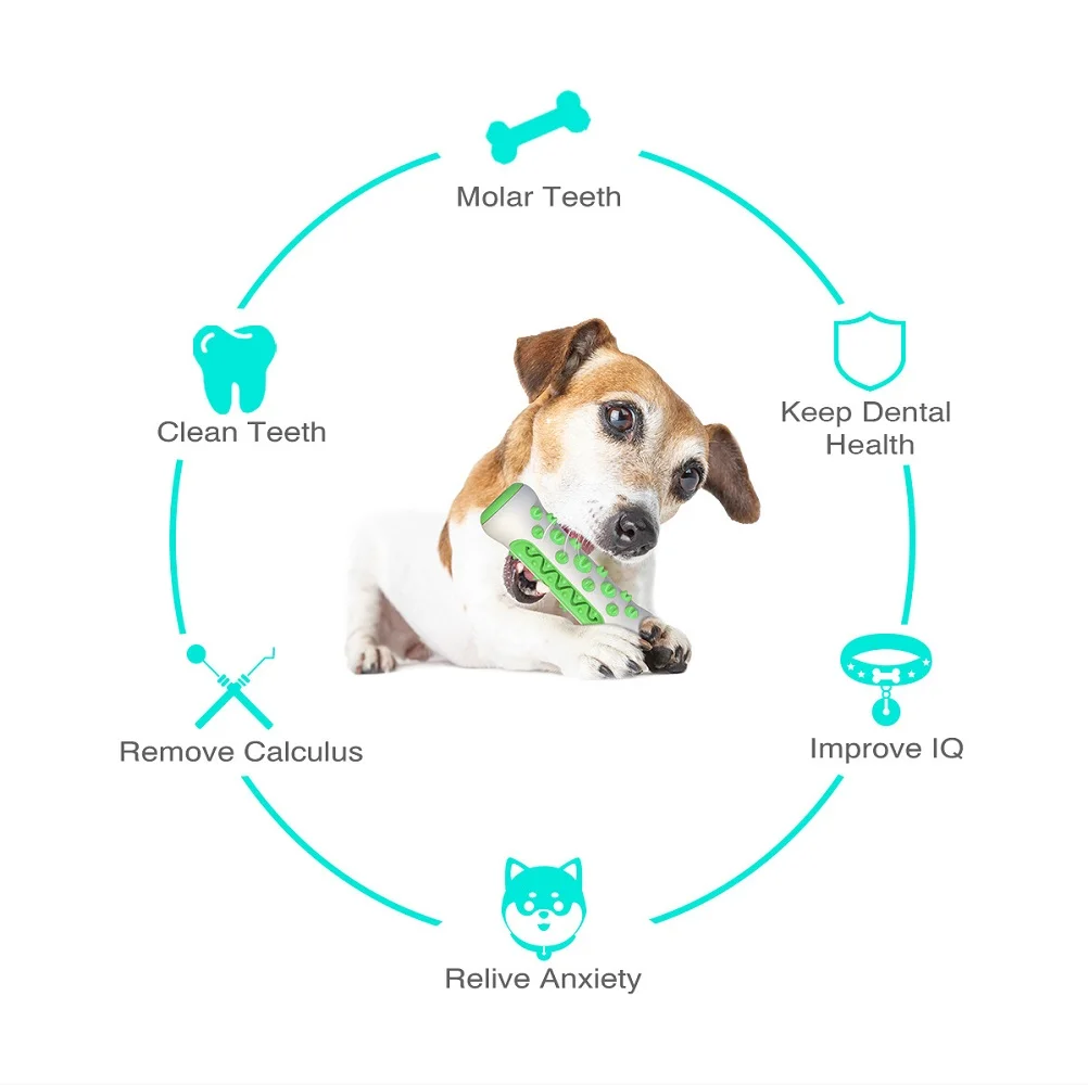 Pet Supplies Amazon Pop Dog To - Pet Supplies In Amazon ulasan dan harga