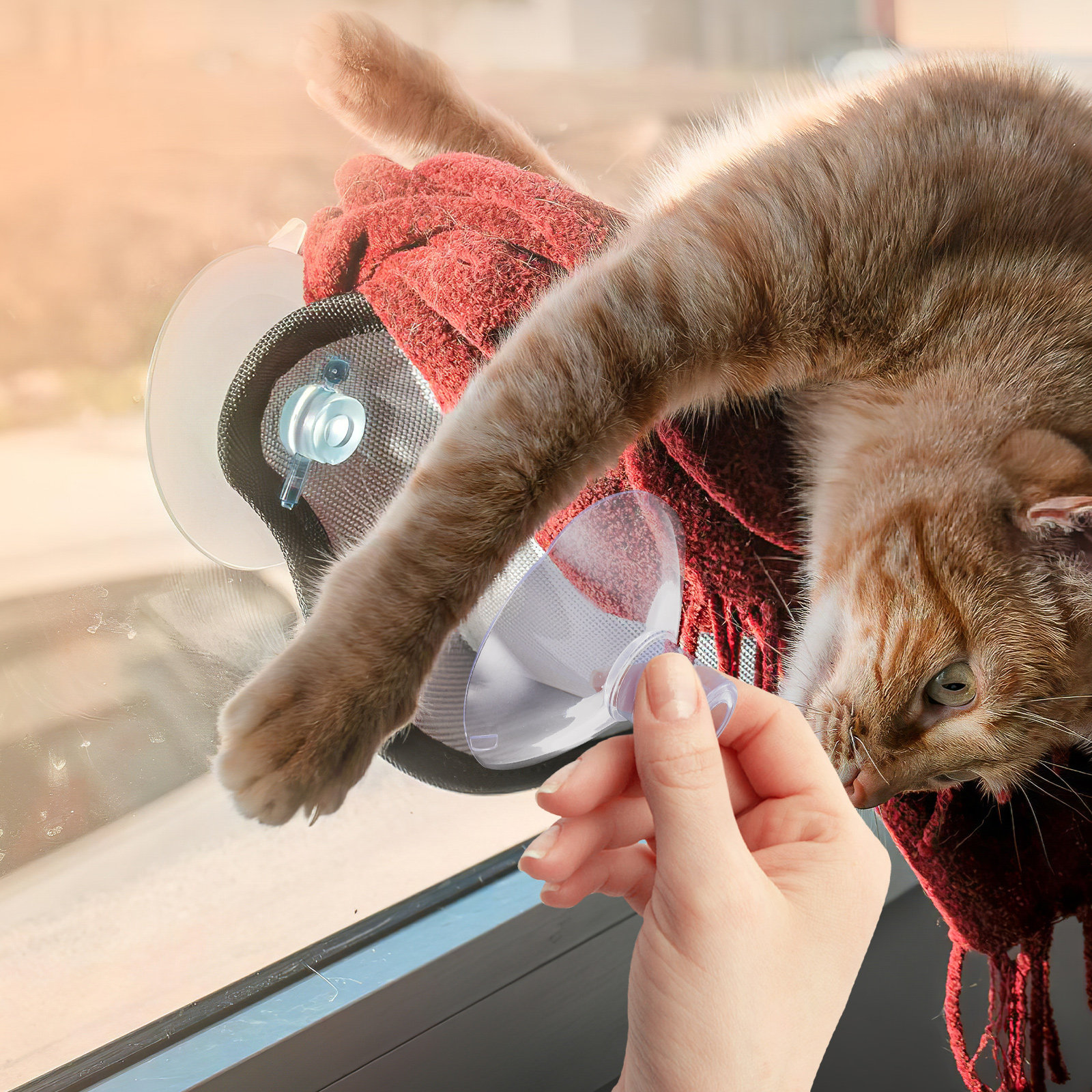 16Pcs Cat Window Shelf Suction - Cat Window Perch ulasan dan harga