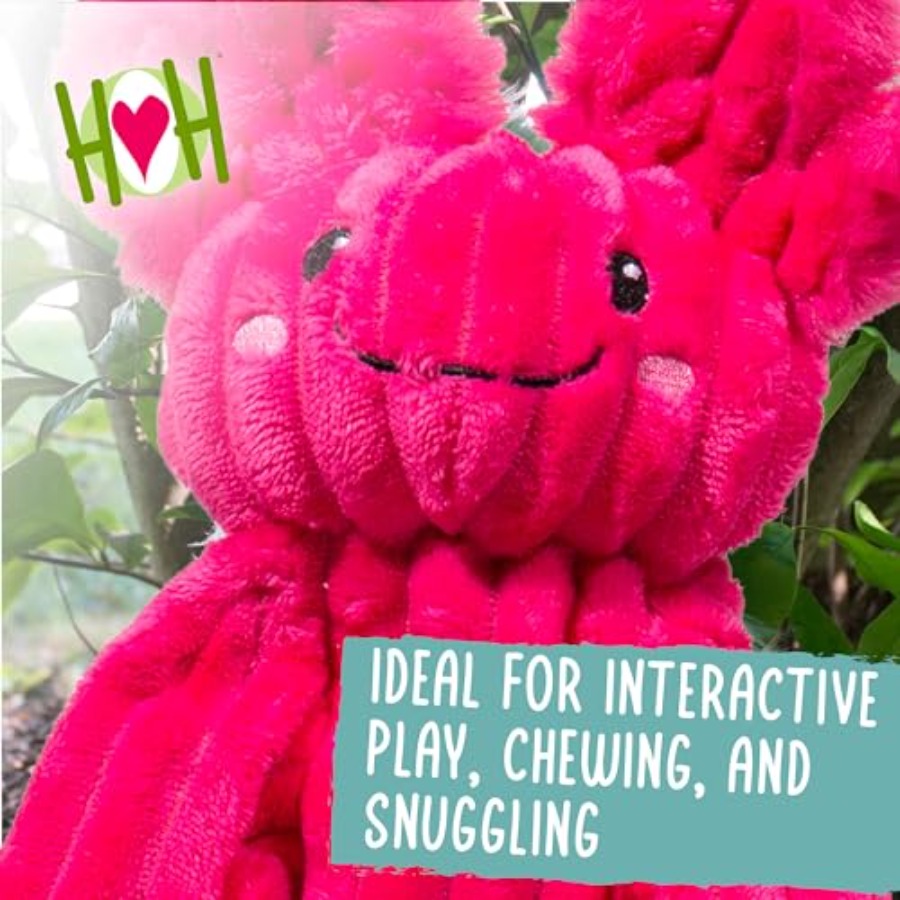 X-Brace Squeaky Dog Toy - Inte - Pet X Supplies & Tack Grooming ulasan dan harga
