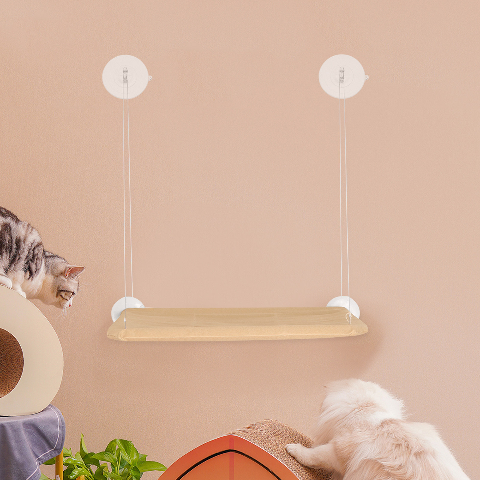 8Pcs Cat Window Perch Suction  - Cat Window Perch ulasan dan harga