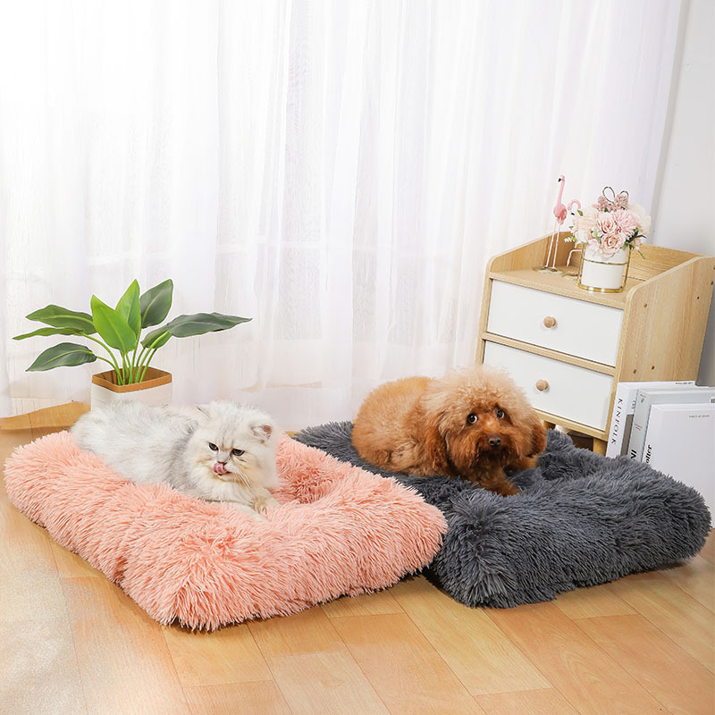Supplies Mat Amazon Comfortabl - Pet Supplies In Amazon ulasan dan harga
