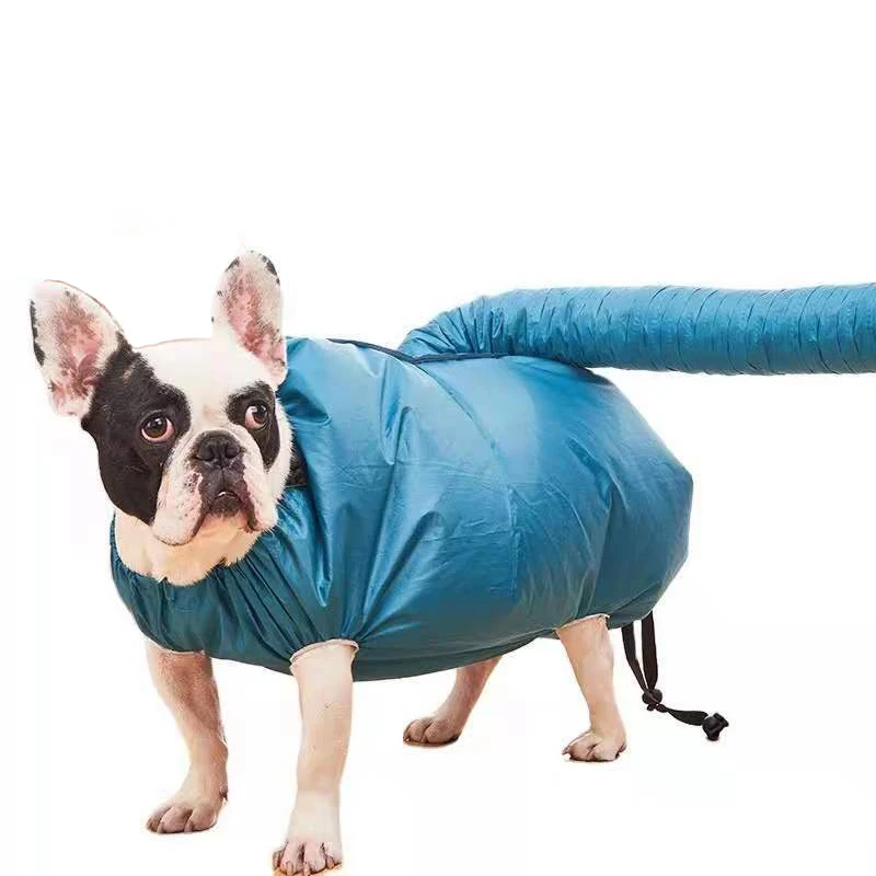 Dog Bathing Hair Dryer Blow Ba - Pet Supplies For Less ulasan dan harga