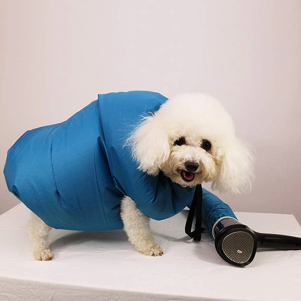 Dog Bathing Hair Dryer Blow Ba - Pet Supplies For Less ulasan dan harga