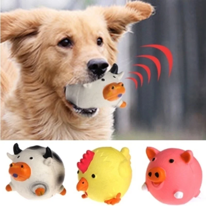 Pet Supplies Amazon Hot sellin - Pet Supplies In Amazon ulasan dan harga