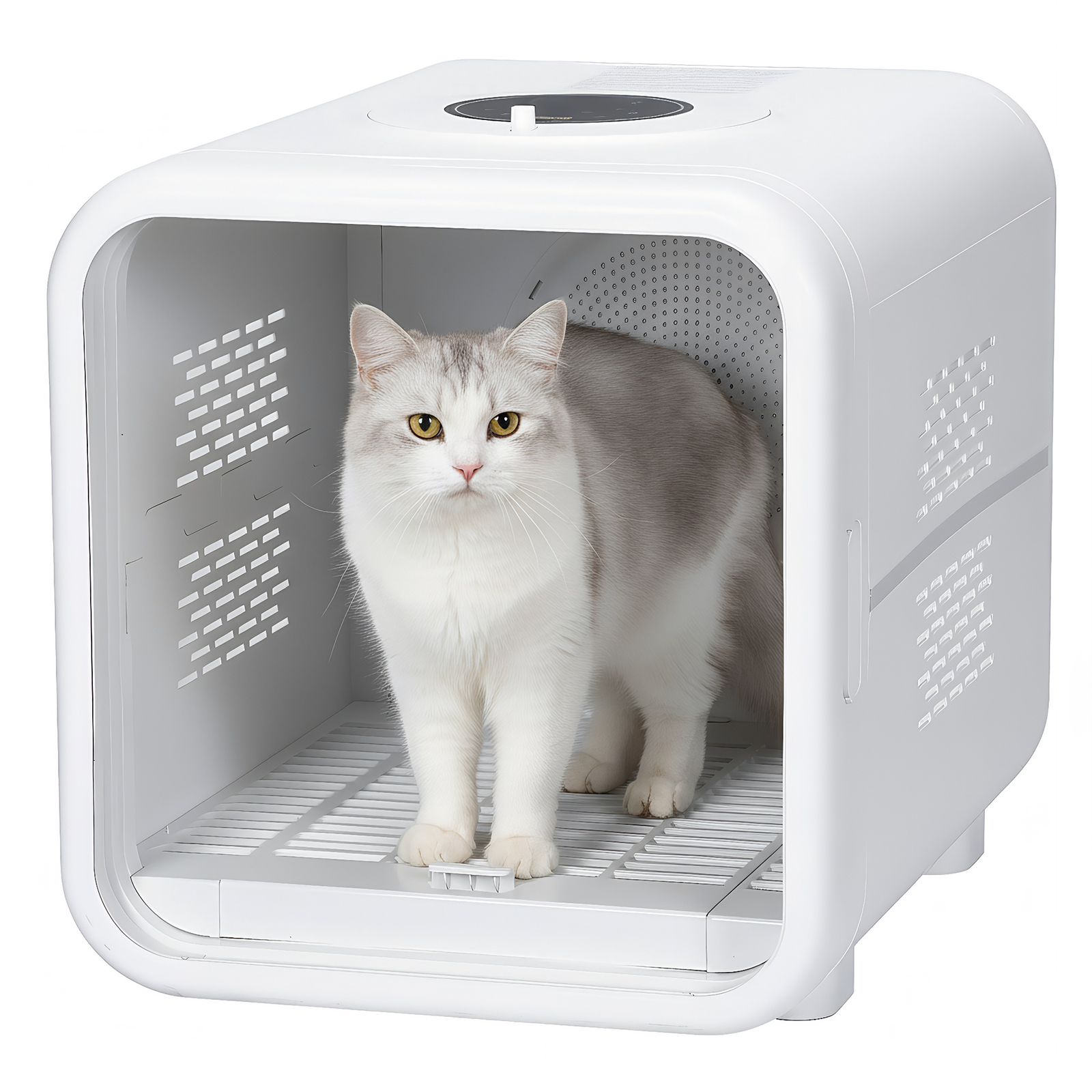 53L Large Capacity Automatic P - Pet Supplies For Less ulasan dan harga